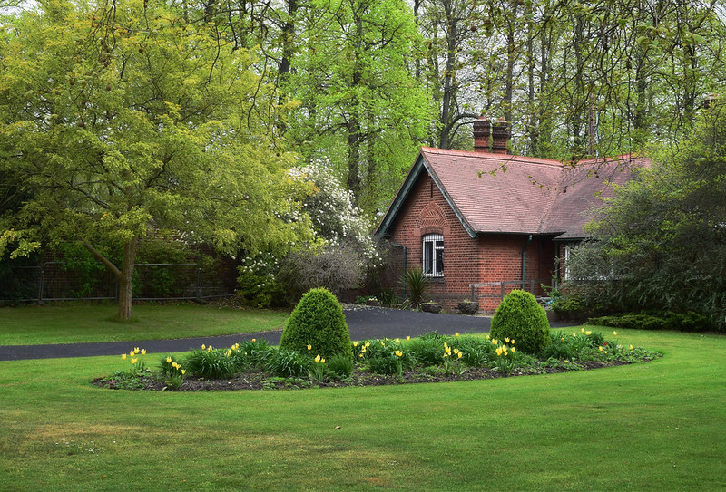 energy-efficient landscaping