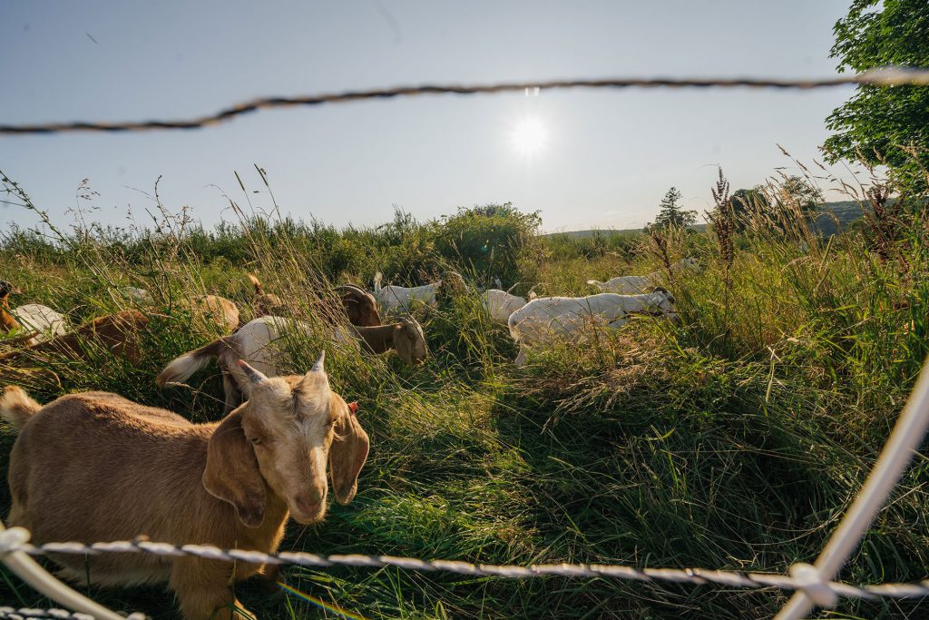 Preparing for the future of farming