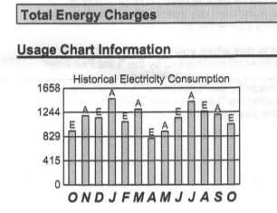 NYSEG Bill