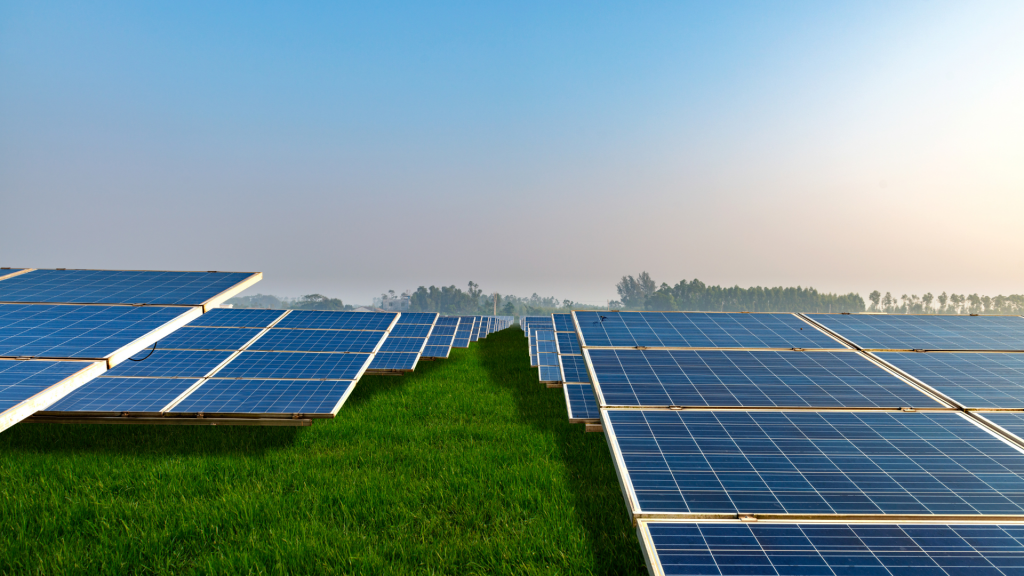 Image of solar farm.