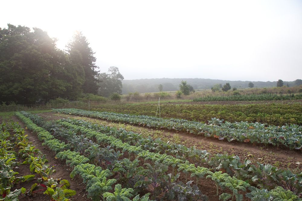 preparing for the future of farming