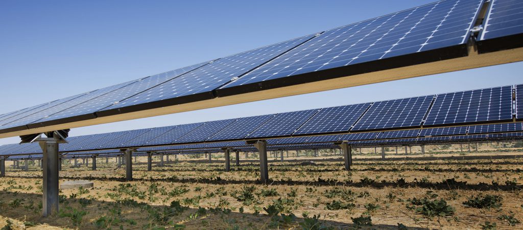 sunfolding solar tracker farm